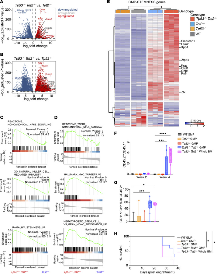 Mutant Tp53 and Tet2 cooperatively transform murine GMP progenitors.
Vol...
