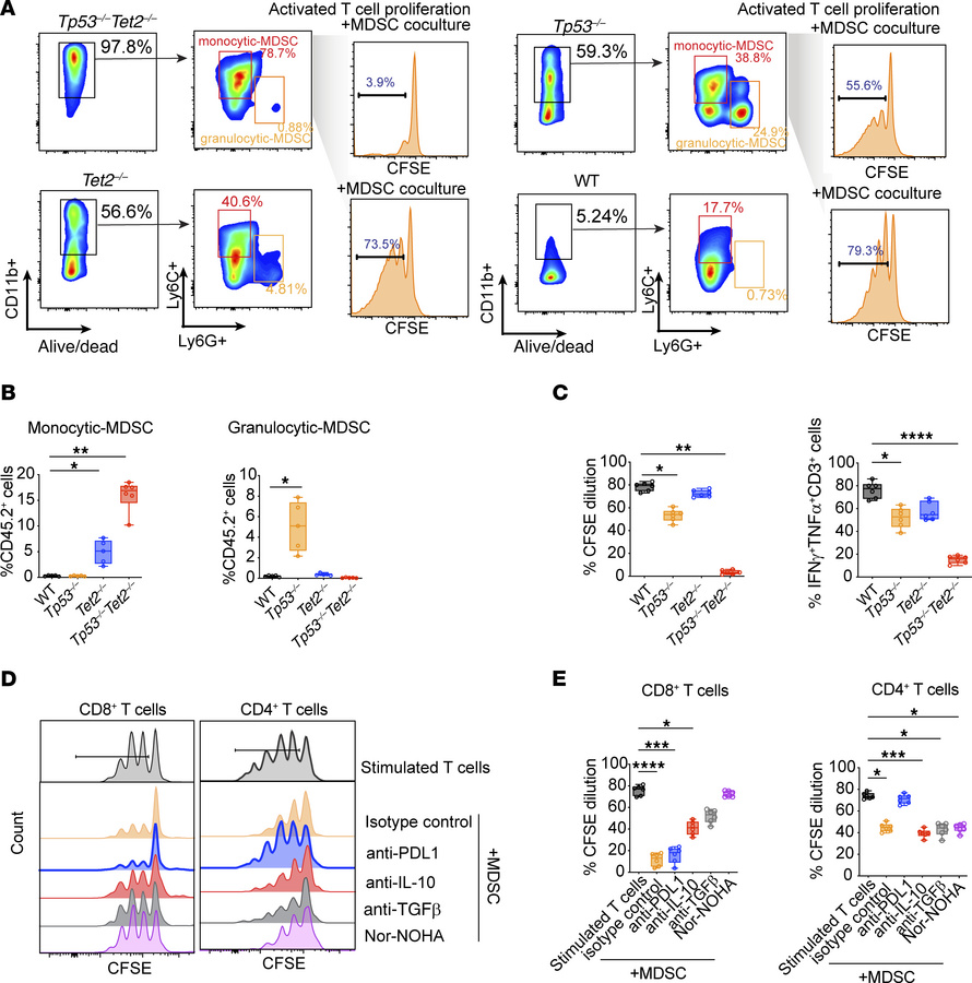 Monocytic MDSCs emerge in Tp53–/–Tet2–/– leukemic environment to cause T...