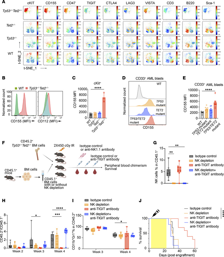 Immunosuppressive microenvironment of TP53/TET2 double-mutant AML that i...