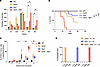 Increased hematopoietic progenitor self-renewal in Tp53/Tet2 double-KO mice