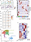 Tp53/Tet2 comutant AML displays unique transcriptional signatures.