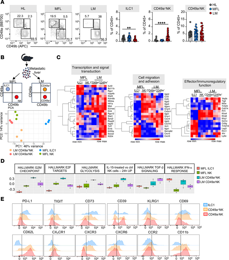 The liver metastasis microenvironment reorganizes type 1 ILC compartment...