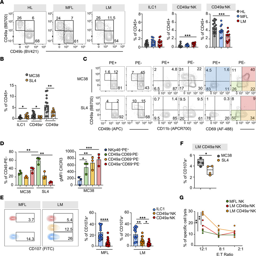 CD49a+ NK cells accumulate in metastasis parenchyma and acquire features...