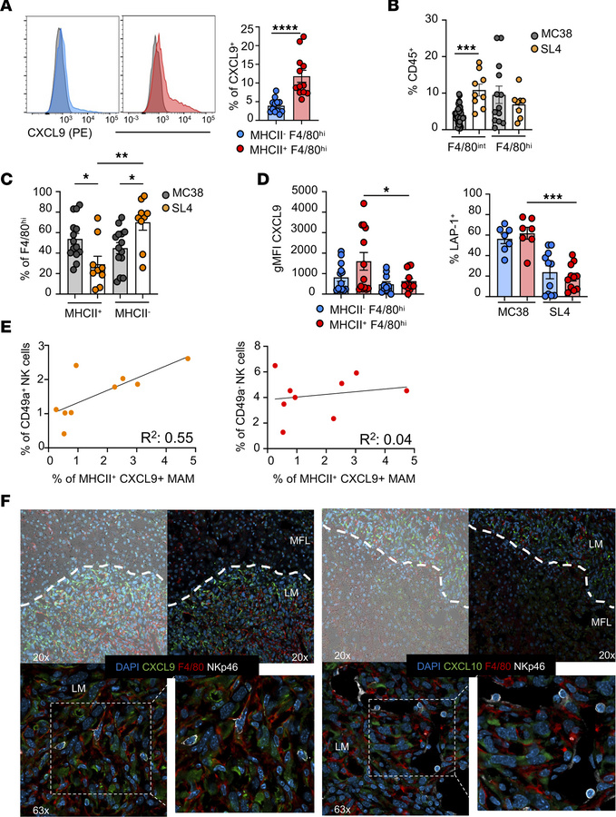 F4/80hi MAMs from MC38 but not SL4-induced metastasis include subsets ex...