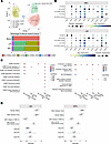 CXCR3 is prevalently expressed by CD49a+ NK cell subsets in human liver met