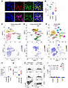 LAIR1 is mainly on CD45hi myeloid cells in human GBM.