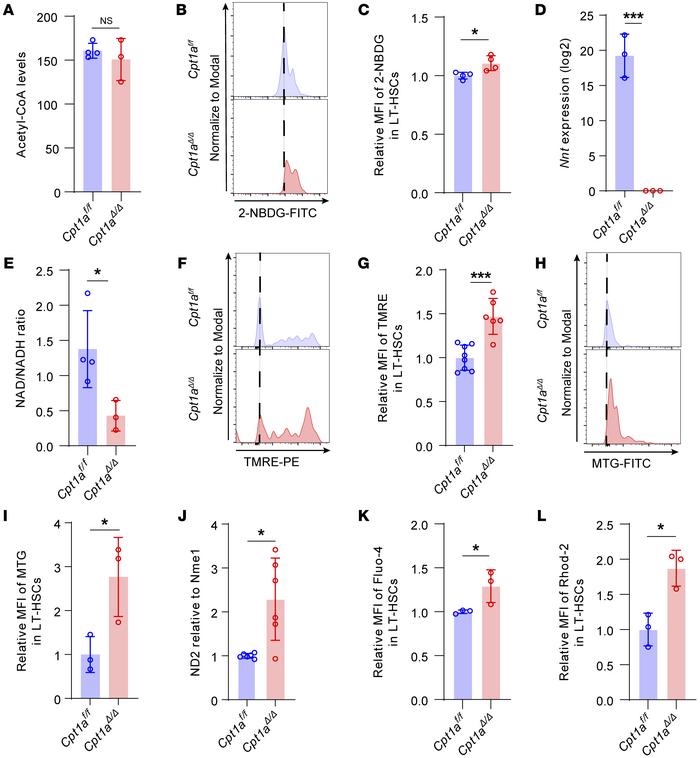 Increased glucose-fueled mitochondrial activity in Cpt1aΔ/Δ HSCs.
(A) Ac...