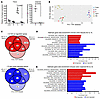 Differential gene expression in mouse primary colon tissues and organoids w