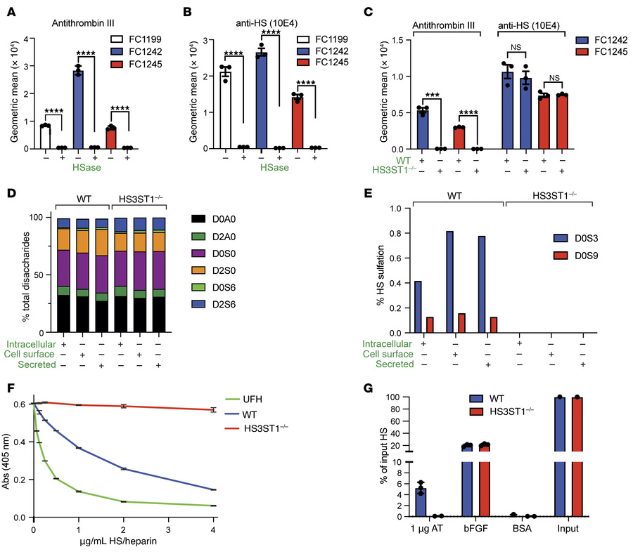 Murine PDAC cells derived from the KrasLSL.G12D/+ p53R172H/+ PdxCre (KPC...
