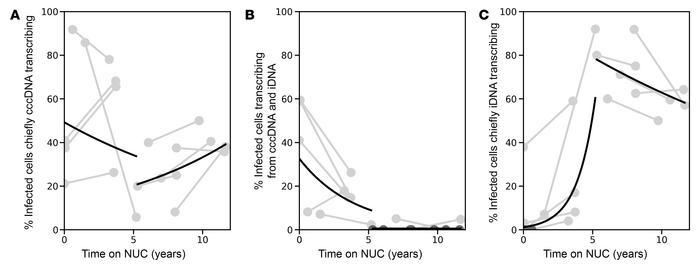 Among cells actively transcribing viral RNA there are different decay ra...