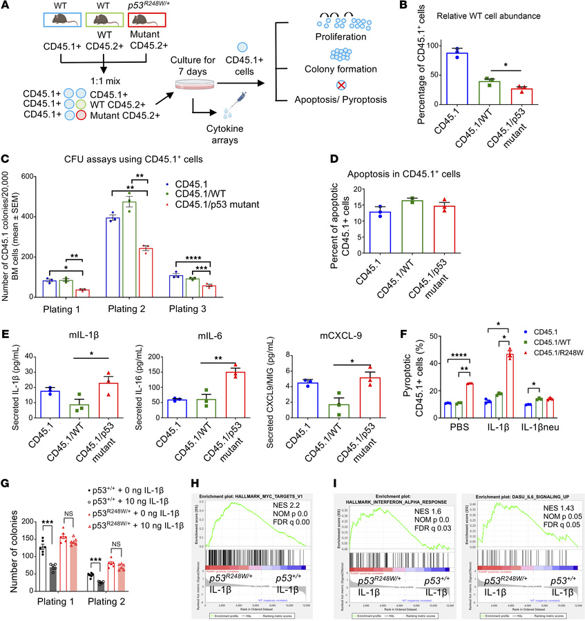 Resistance to inflammatory stress underlies enhanced fitness seen in p53...