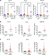 Mutant p53 generates a chronic inflammatory microenvironment during aging.