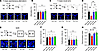 l-Phe loading impairs learning in mice.