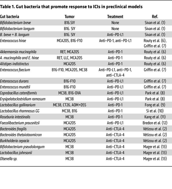 Gut bacteria that promote response to ICIs in preclinical models