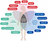 Three constellations of factors link the varied relationships between BV an