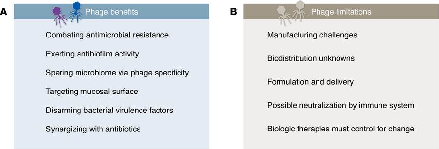Pros and cons of phage therapy.
(A) Potential benefits of phage therapy ...