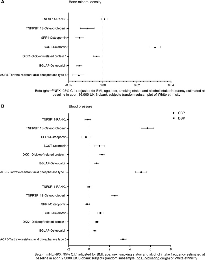 Forest plot of areal BMD or blood pressure versus normalized protein con...