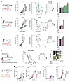 TGF–β blockade restores chemoimmunotherapy efficacy.
