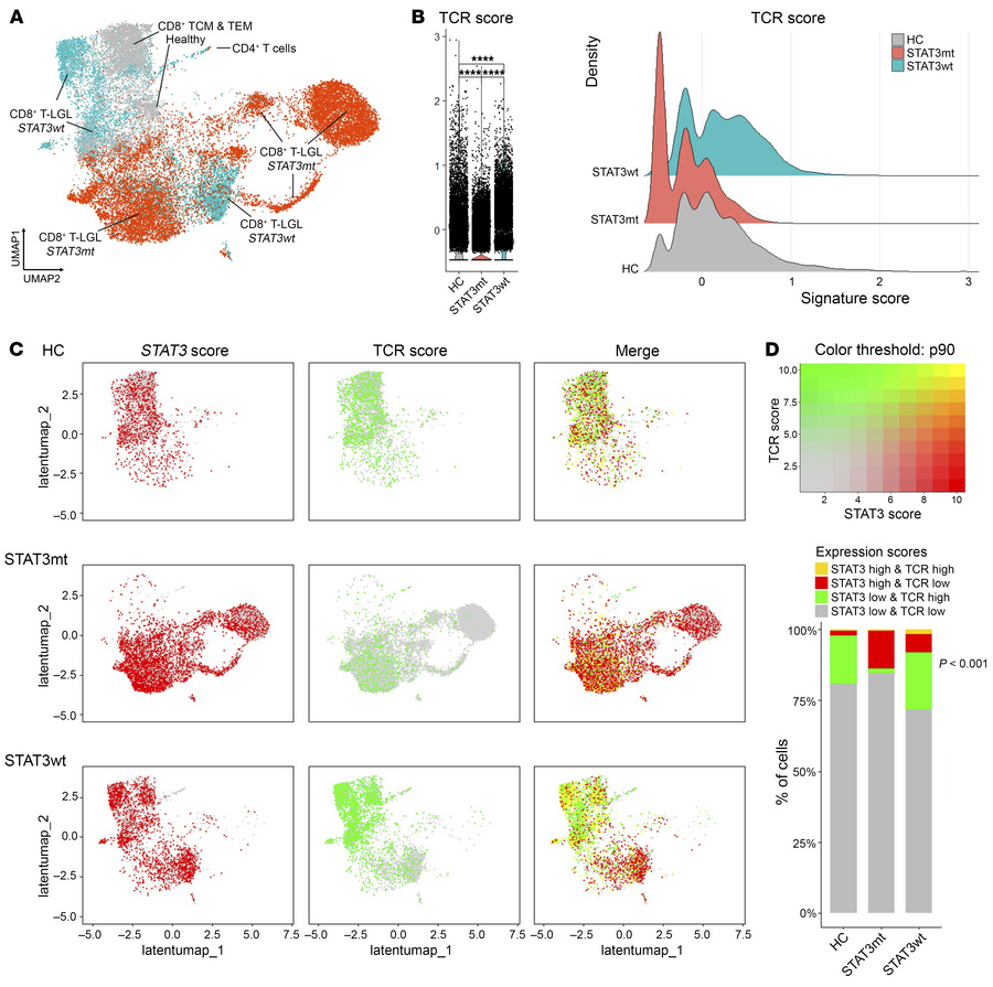 Single-cell RNA+TCRαβ expression analysis of TCR signaling genes in STAT...