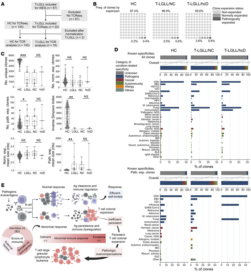 TCR repertoire analyses of the implications of the hcD variants associat...