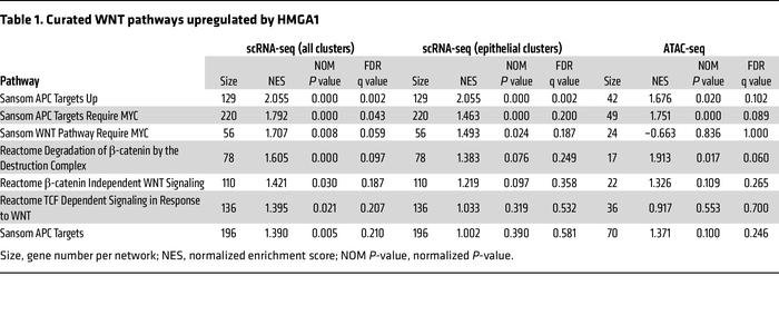 Curated WNT pathways upregulated by HMGA1