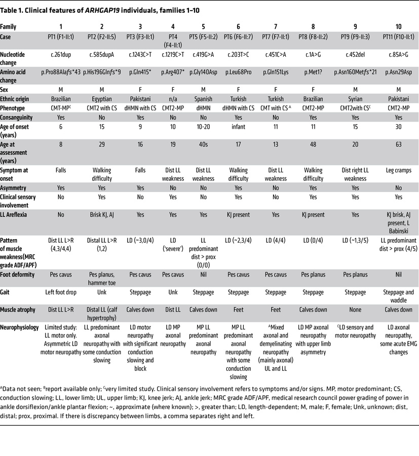 Clinical features of ARHGAP19 individuals, families 1–10