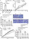 ARHGAP19 variants have defective GAP activity and cell migration.