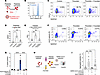 Platelets use P selectin to bind to SARS-CoV-2 spike.
