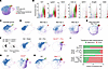 Fibrotic DATPs occur in multiple models of lung fibrosis but not in models