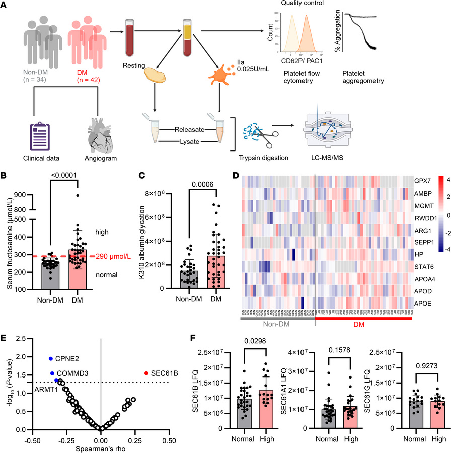 Unbiased, high-sensitivity proteomics of human platelets identifies incr...