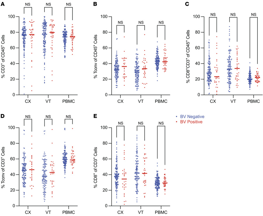 BV did not alter the balance of T cell frequency in the CVT tissues.
Flo...