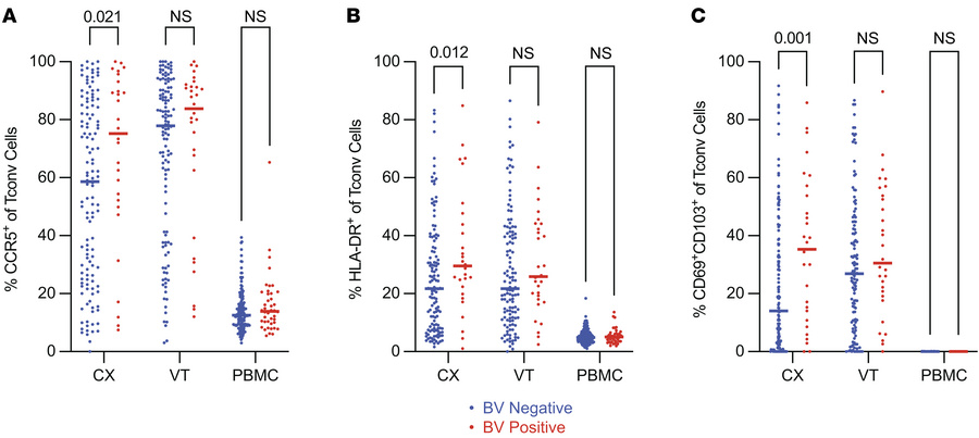 Conventional CD4+ T cells displayed increased markers of activation and ...