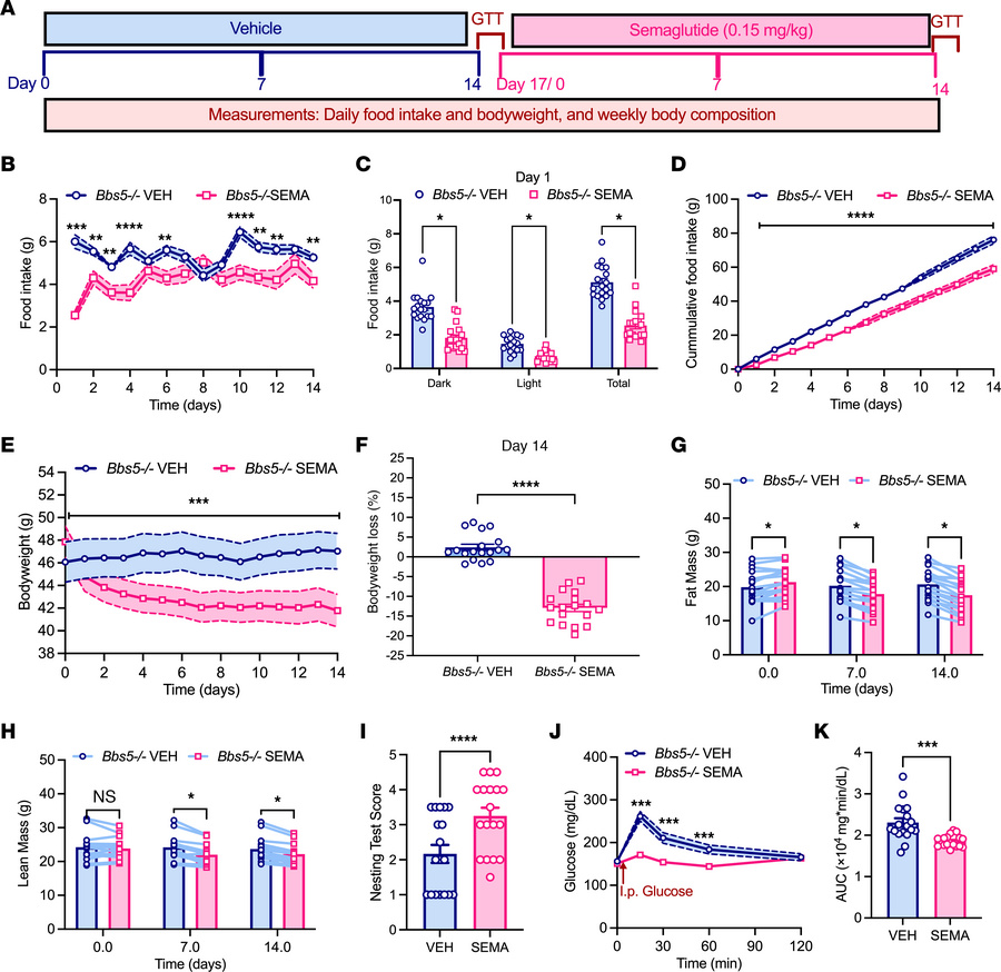 GLP-1RA semaglutide promotes hypophagia-induced weight loss and improves...