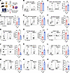 Adult Bbs5-null mice have a proinflammatory white adipose immunophenotype.