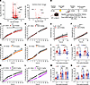 Hypothalamic RNA transcriptomics predicts leptin and CCK resistance but ret