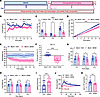 GLP-1RA semaglutide promotes hypophagia-induced weight loss and improves ne