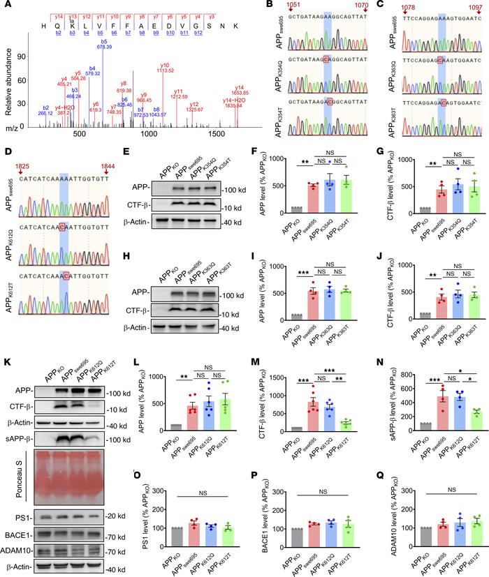 APP-K612la reduced APP amyloidogenic processing in vitro
(A) LC-MS/MS sp...