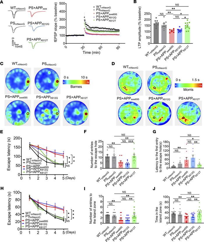APP-K612la ameliorated synaptic and memory impairments in vivo.
(A and B...
