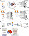 Proteostasis regulation in AML by UBE2N.