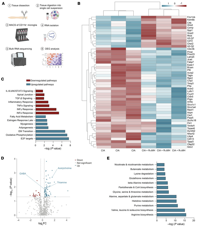 Oral H3R agonist treatment reverses the proinflammatory environment of t...
