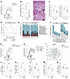 Resolution depends on intestinal histamine and H3R signaling.