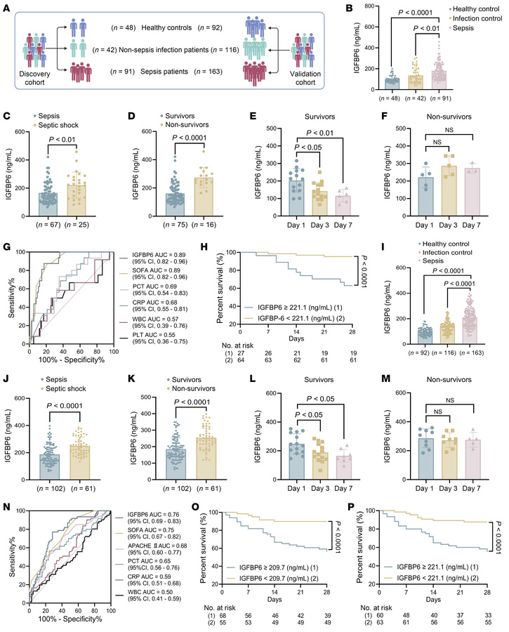 IGFBP6 as a diagnostic and prognostic biomarker in adult sepsis.
(A) Dis...