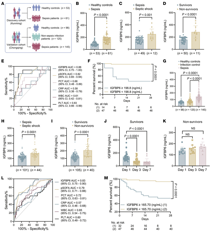 IGFBP6 as a diagnostic and prognostic biomarker in pediatric sepsis.
(A)...