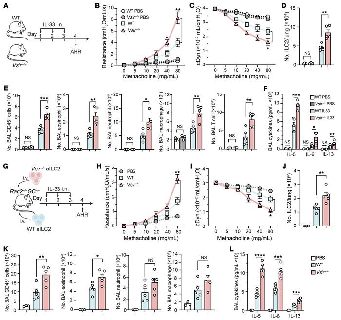 The absence of VISTA aggravates ILC2-driven AHR and lung inflammation.
(...