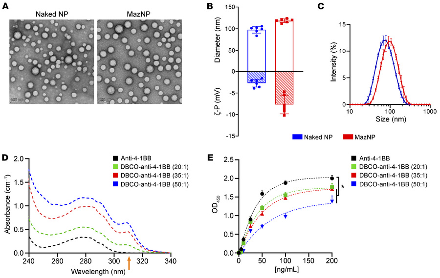Engineering Abs and NPs for TRACER targeting delivery.
(A) TEM images of...
