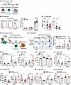 Enhanced efferocytosis reduces tissue damage and fibrosis and preserves org