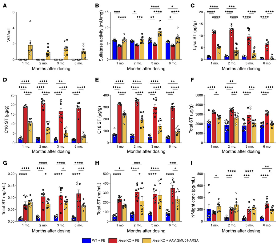 ARSA expression and function are persistent over time.
Early-neuronopath...