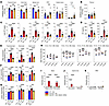 Phenotypic reversal in Arsa-KO mice treated with AAV.GMU01-ARSA.
