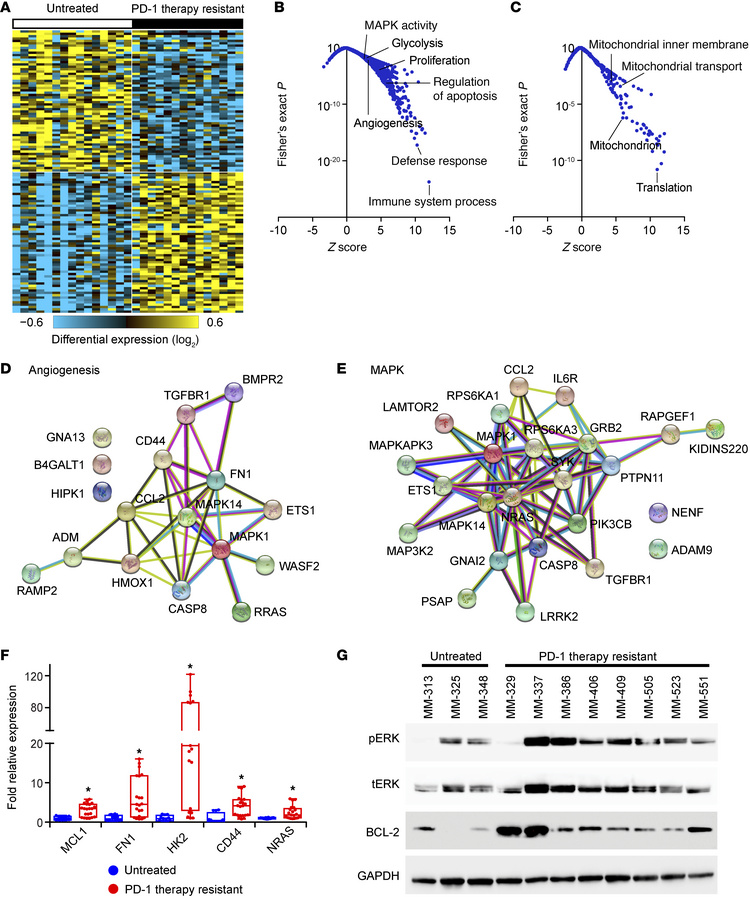 Identification of differentially expressed genes and pathways in ICB-res...