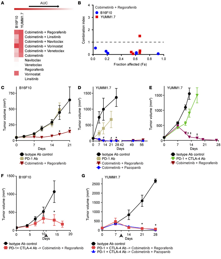 Effects of various drug combinations on murine melanoma models in cultur...